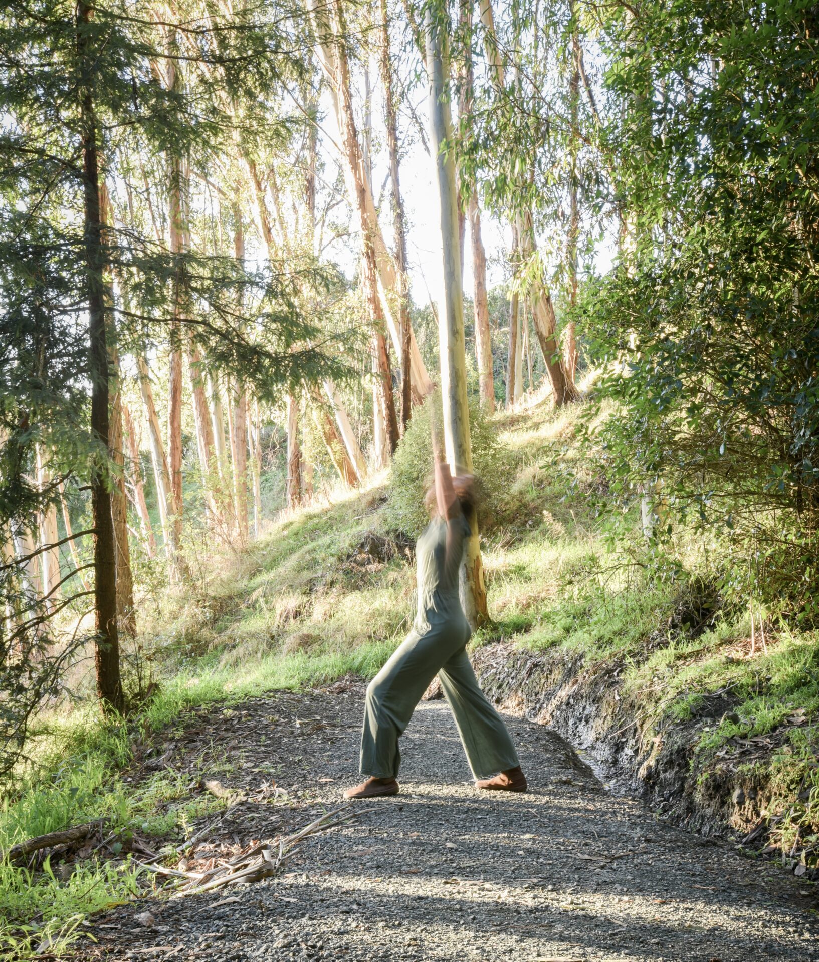 Sam Loe Yoga, Standing Warrior in the forest